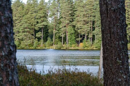 small forest lake in countryside with water reflections in calm water. place for meditationの写真素材