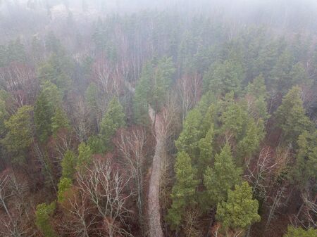 fog over forests and lakes in countryside. drone image from above. aerialの写真素材