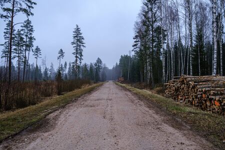 empty gravel countryside road in autumn in perspectiveの写真素材