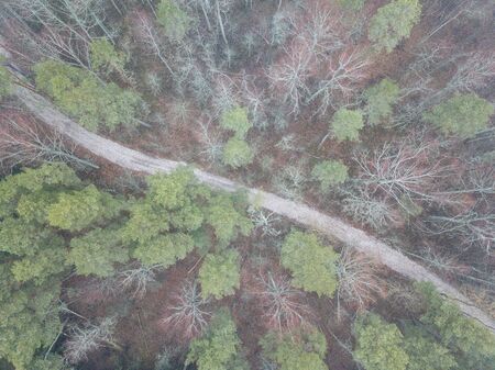 fog over forests and lakes in countryside. drone image from above. aerialの写真素材