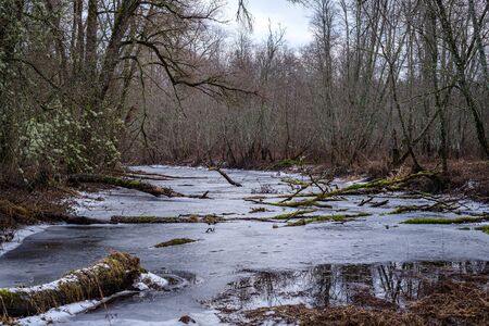 half frozen river in late autumn with trees with no leaves.  partial ice cover over river Gauja in Latviaの写真素材