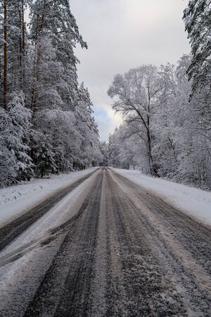 car tracks in the snow on the winter road in sunny day with frost on the treesの写真素材