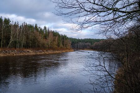 half frozen river in late autumn with trees with no leaves.  partial ice cover over river Gauja in Latviaの写真素材