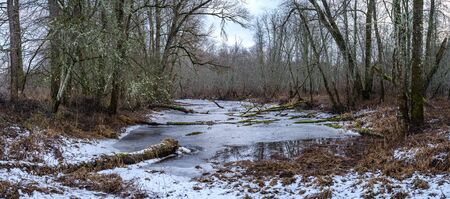 half frozen river in late autumn with trees with no leaves.  partial ice cover over river Gauja in Latviaの写真素材