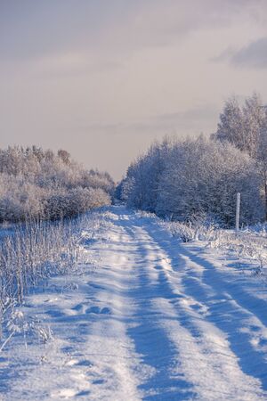 car tracks in the snow on the winter road in sunny day with frost on the treesの写真素材