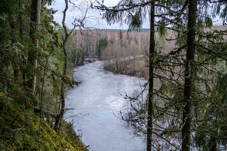 half frozen river in late autumn with trees with no leaves.  partial ice cover over river Gauja in Latviaの写真素材