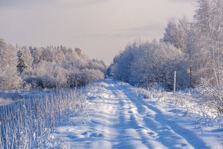 car tracks in the snow on the winter road in sunny day with frost on the treesの写真素材