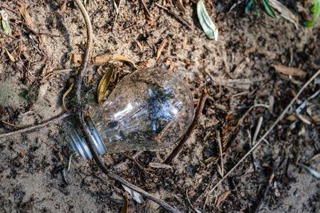 glass light bulb on the ground in forest with old leavesの写真素材