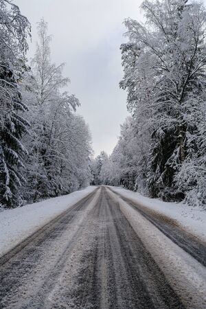 car tracks in the snow on the winter road in sunny day with frost on the treesの写真素材
