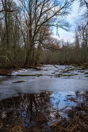 half frozen river in late autumn with trees with no leaves.  partial ice cover over river Gauja in Latviaの写真素材