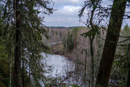 half frozen river in late autumn with trees with no leaves.  partial ice cover over river Gauja in Latviaの写真素材
