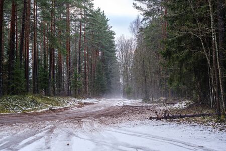 car tracks in the snow on the winter road in sunny day with frost on the treesの写真素材
