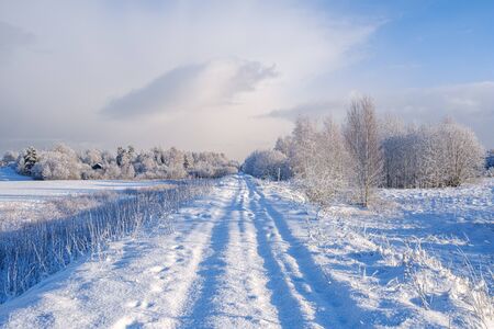 car tracks in the snow on the winter road in sunny day with frost on the treesの写真素材