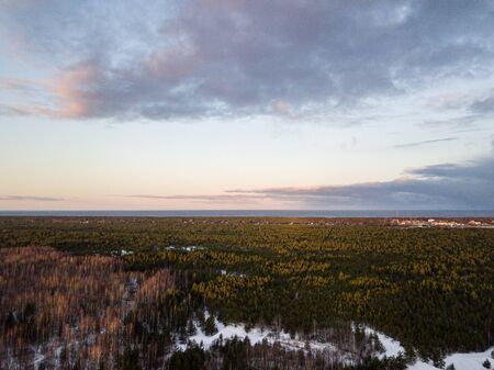 aerial view of wooden watchtower in forest. drone imageの写真素材