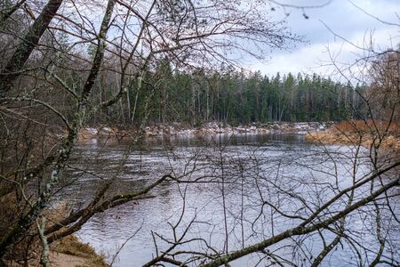 half frozen river in late autumn with trees with no leaves.  partial ice cover over river Gauja in Latviaの写真素材