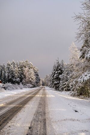 car tracks in the snow on the winter road in sunny day with frost on the treesの写真素材