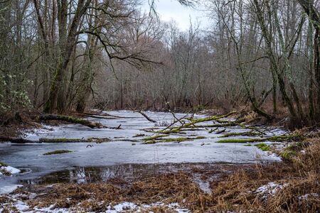 half frozen river in late autumn with trees with no leaves.  partial ice cover over river Gauja in Latviaの写真素材