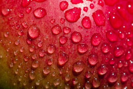 apple with water drops. red fruitの写真素材