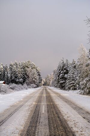 car tracks in the snow on the winter road in sunny day with frost on the treesの写真素材