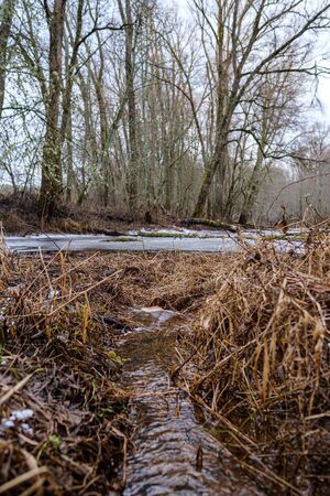 half frozen river in late autumn with trees with no leaves.  partial ice cover over river Gauja in Latviaの写真素材