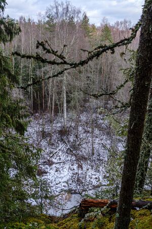 half frozen river in late autumn with trees with no leaves.  partial ice cover over river Gauja in Latviaの写真素材