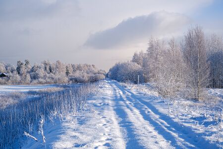 car tracks in the snow on the winter road in sunny day with frost on the treesの写真素材