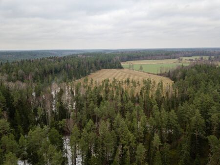 winter forest from above. Drone aerial image of winter trees. textured woodsの写真素材