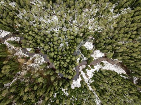 River in winter forest with green trees from above. Aerial drone image of river Gauja in Latvia.の写真素材