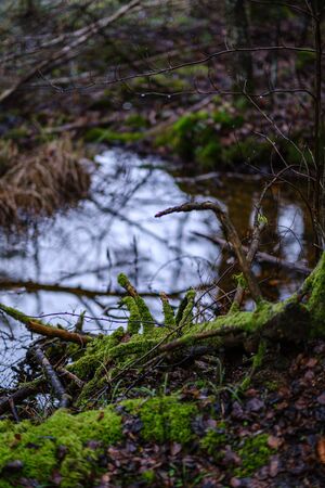 half frozen river in late autumn with trees with no leaves.  partial ice cover over river Gauja in Latviaの写真素材