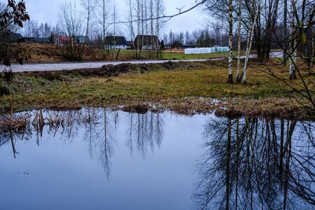 autumn river with flooded shore with trees in the waterの写真素材
