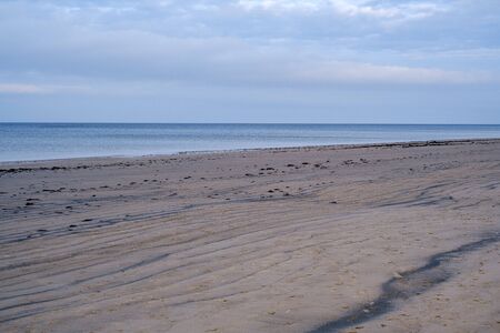 empty sea beach in autumn with some bushes and dry grass. water in perspectiveの写真素材