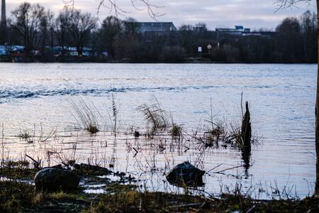 autumn river with flooded shore with trees in the waterの写真素材
