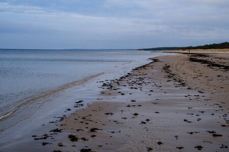 empty sea beach in autumn with some bushes and dry grass. water in perspectiveの写真素材