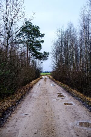 dirty wet dust road in autumn with large water puddlesの写真素材