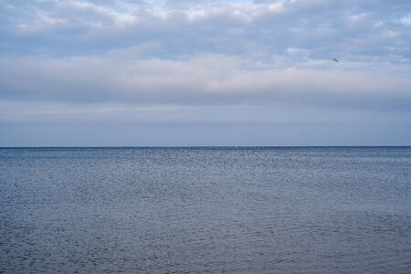 empty sea beach in autumn with some bushes and dry grass. water in perspectiveの写真素材