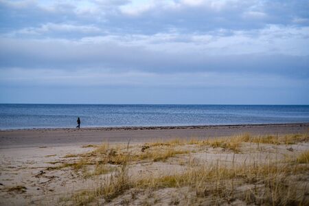 empty sea beach in autumn with some bushes and dry grass. water in perspectiveの写真素材