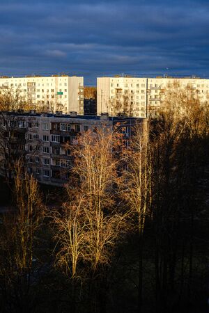 sunset over the city with dark tree trunk silhouettes in front. autumnの写真素材