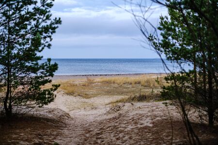 empty sea beach in autumn with some bushes and dry grass. water in perspectiveの写真素材