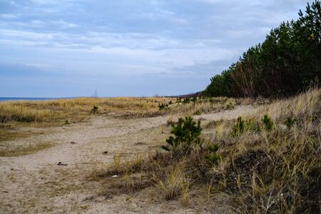 empty sea beach in autumn with some bushes and dry grass. water in perspectiveの写真素材
