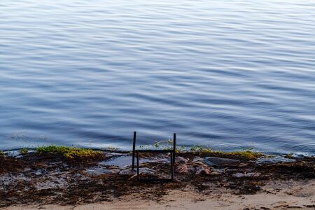 empty sea beach in autumn with some bushes and dry grass. water in perspectiveの写真素材