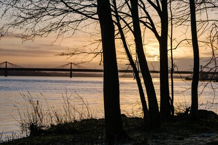 sunset over the city with dark tree trunk silhouettes in front. autumnの写真素材