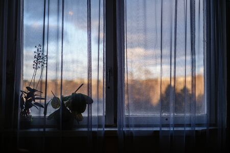 apartment windows in autumn with christmas decorations and winter sun on the street. dull tonesの写真素材