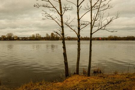 autumn river with flooded shore with trees in the waterの写真素材