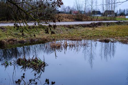 autumn river with flooded shore with trees in the waterの写真素材