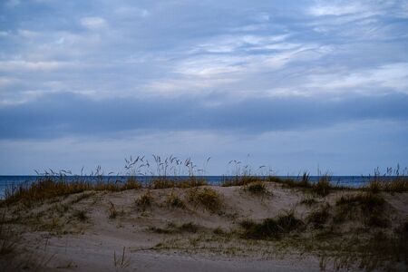 empty sea beach in autumn with some bushes and dry grass. water in perspectiveの写真素材