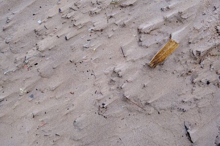 beach sand texture with water. abstract patternの写真素材
