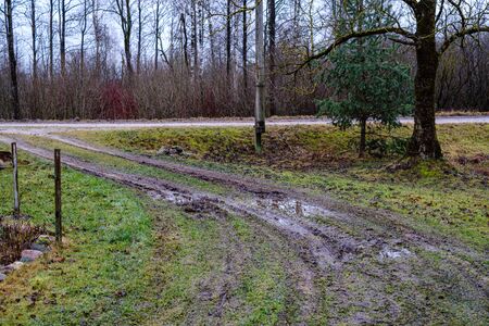 dirty wet dust road in autumn with large water puddlesの写真素材