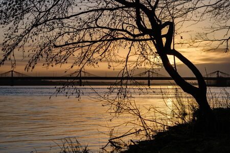 sunset over the city with dark tree trunk silhouettes in front. autumnの写真素材
