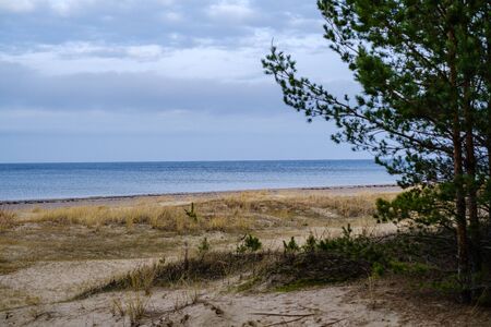 empty sea beach in autumn with some bushes and dry grass. water in perspectiveの写真素材