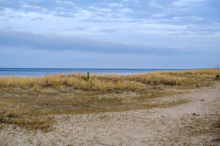 empty sea beach in autumn with some bushes and dry grass. water in perspectiveの写真素材
